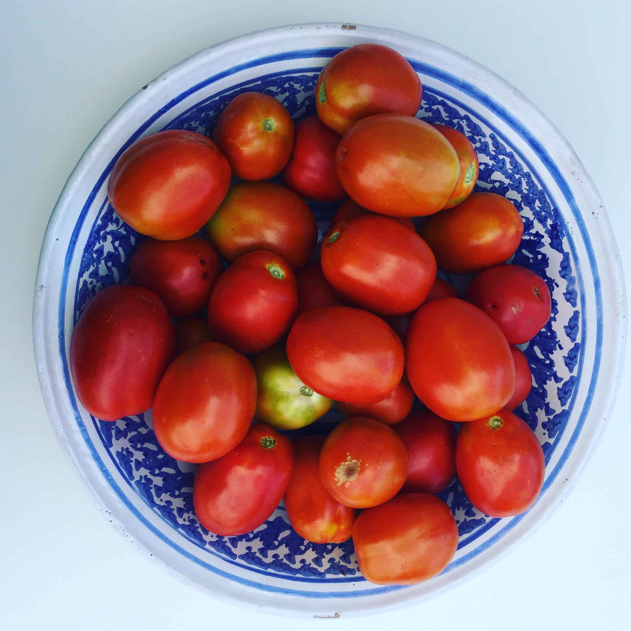 pomodori