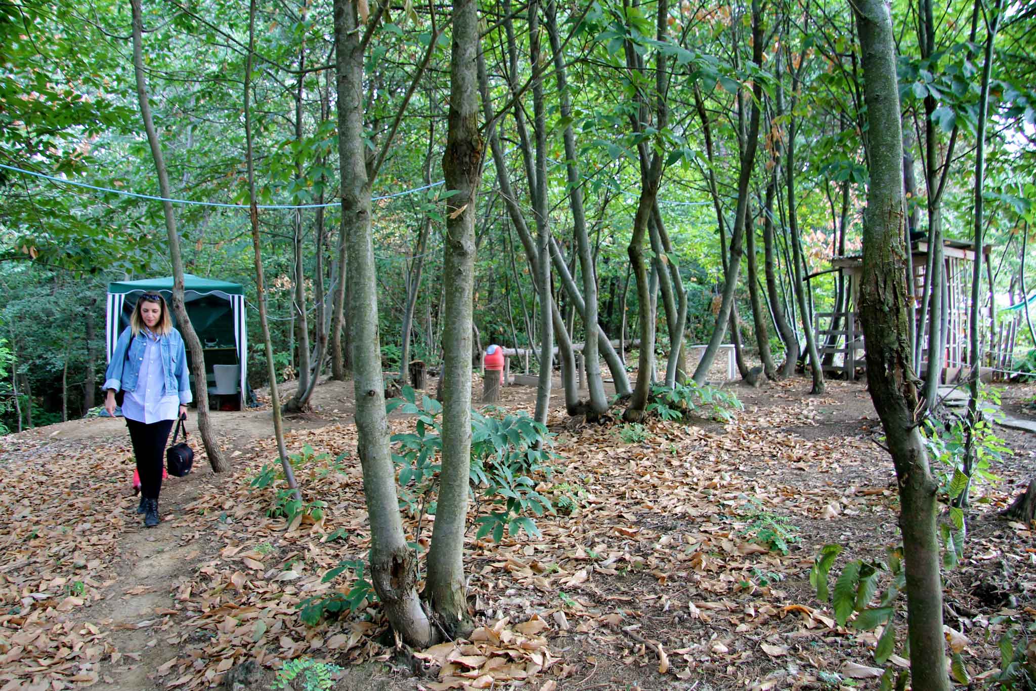 agriturismo-sottobosco-langhe-parco