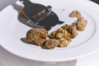 Tartufo, guida per scegliere, gustare, conservare i migliori esemplari