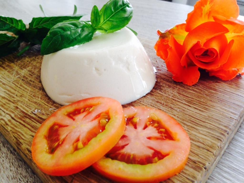 mozzarella-vegan