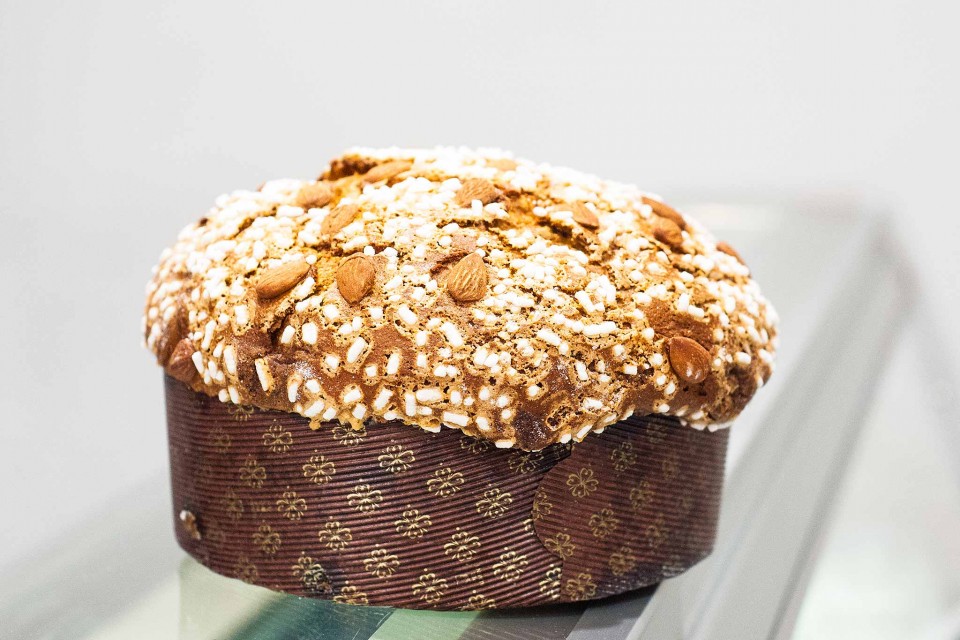 panettone-bonci