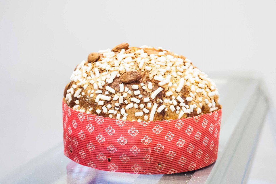 panettone-patrizi