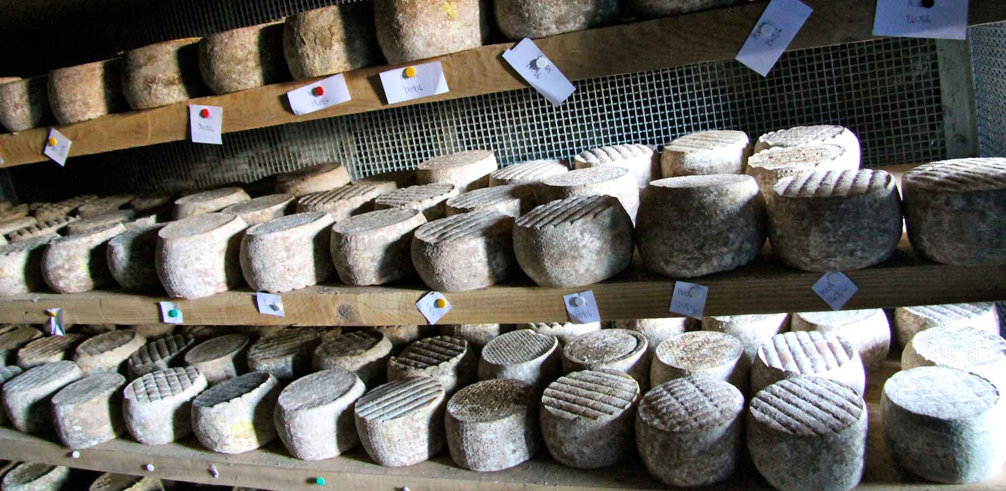 Il fantastico formaggio di capra dell&#8217;azienda La Chèvre Heureuse in Valle d&#8217;Aosta