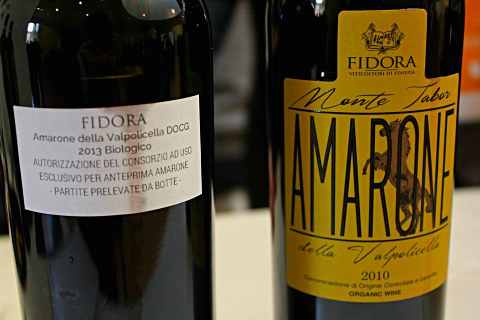 Amarone 2013-Fidora