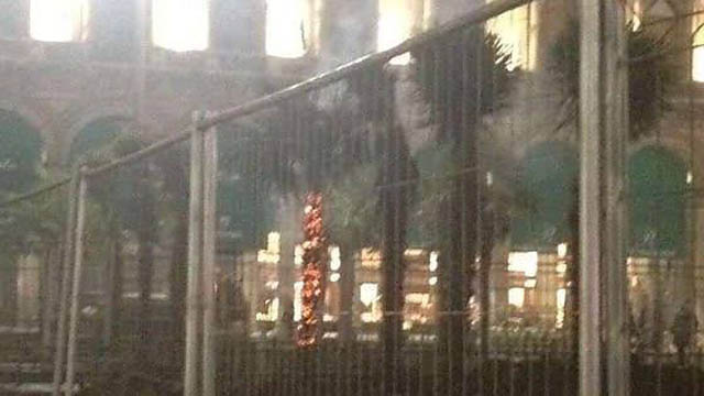 Milano. Le palme di Starbucks al Duomo non piacciono e ignoti le incendiano