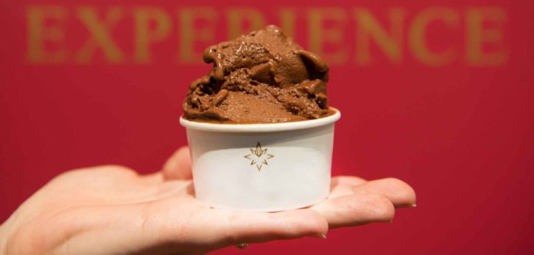 Milano. 10 motivi al sapore di cioccolato per andare al Salon du Chocolat