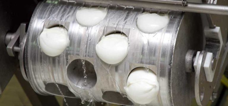 La mozzarella pugliese è Dop, vince Gioia del Colle, perde la Campania