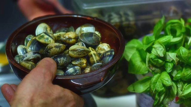 Vongole coccio