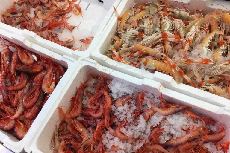 Roma. Officina del Pesce, pescheria e cucina dallo strepitoso rapporto qualità &#8211; prezzo a Nettuno