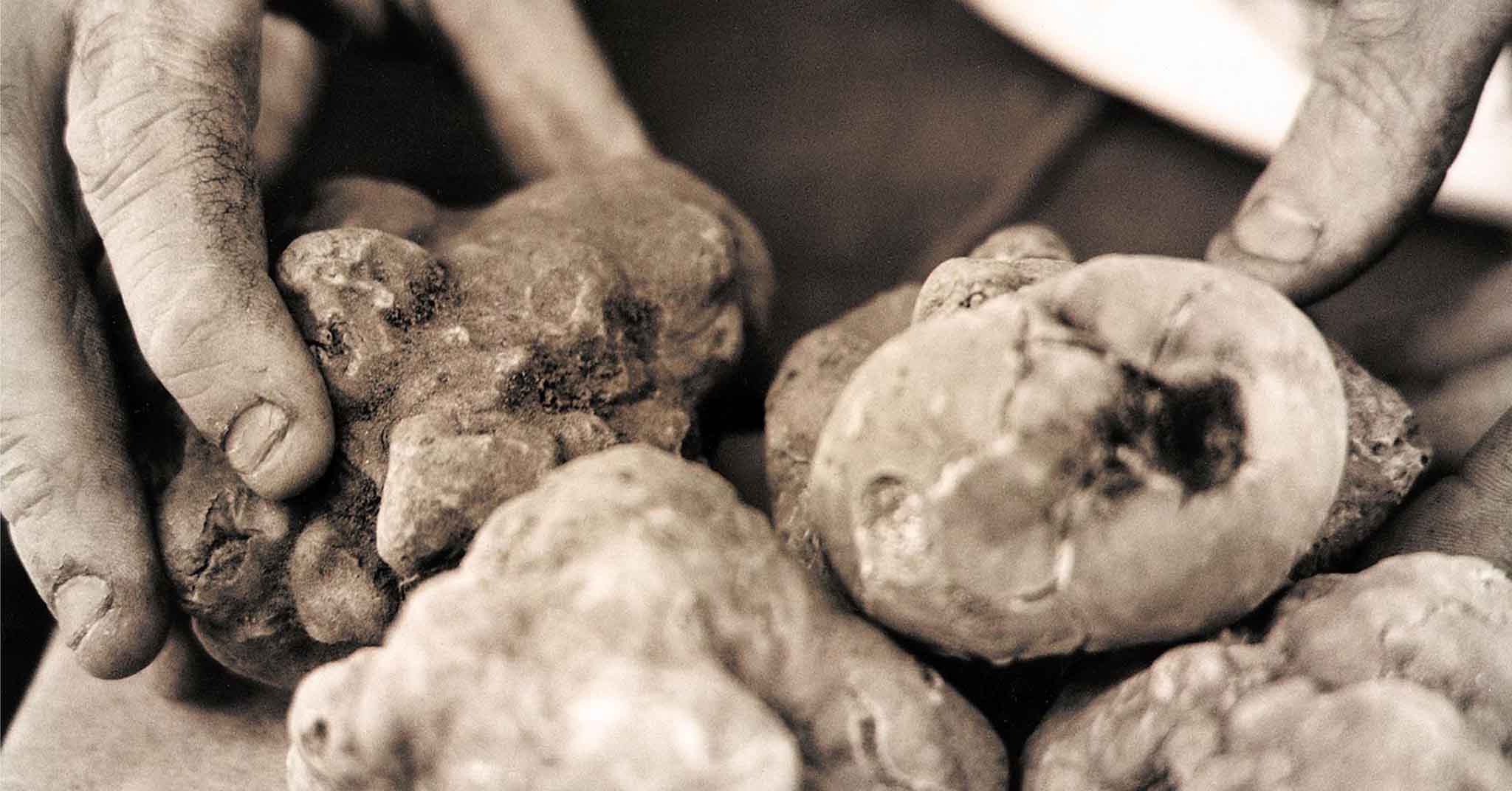 Zelindo, il senzatetto che regala il pranzo di Natale al tartufo a 50 amici