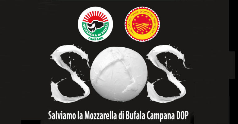 Bufera sulla Mozzarella di Bufala Dop: frode alimentare e richiesta di dimissioni al direttore