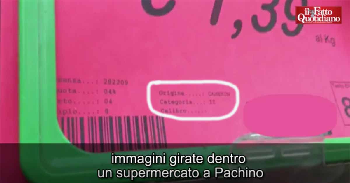 Sicilia. Il pomodoro a Pachino ora arriva dal Camerun