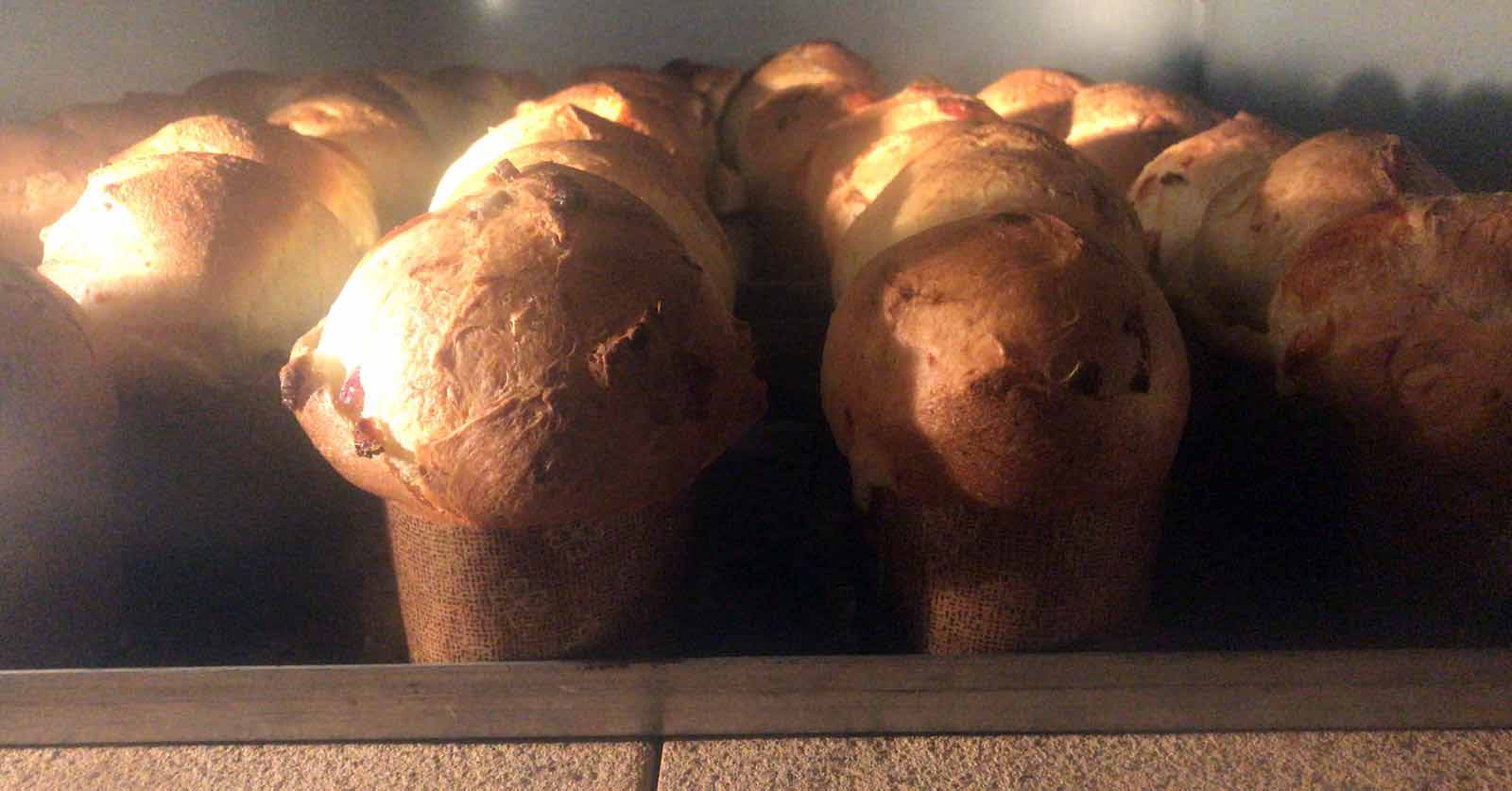 Milano. Tutti i pasticcieri che sono I Maestri del Panettone