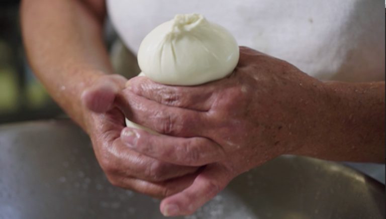 Lezioni di Pizza. Fiordilatte e mozzarella, guida all&#8217;utilizzo