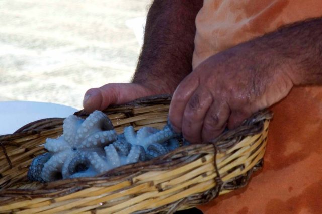 polpo per gli spaghetti all'assassina di mare