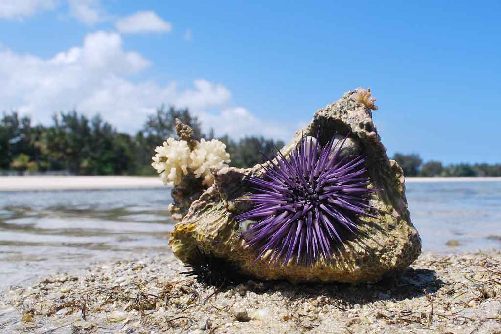 10 piatti tipici del Salento come non ve li hanno mai raccontati