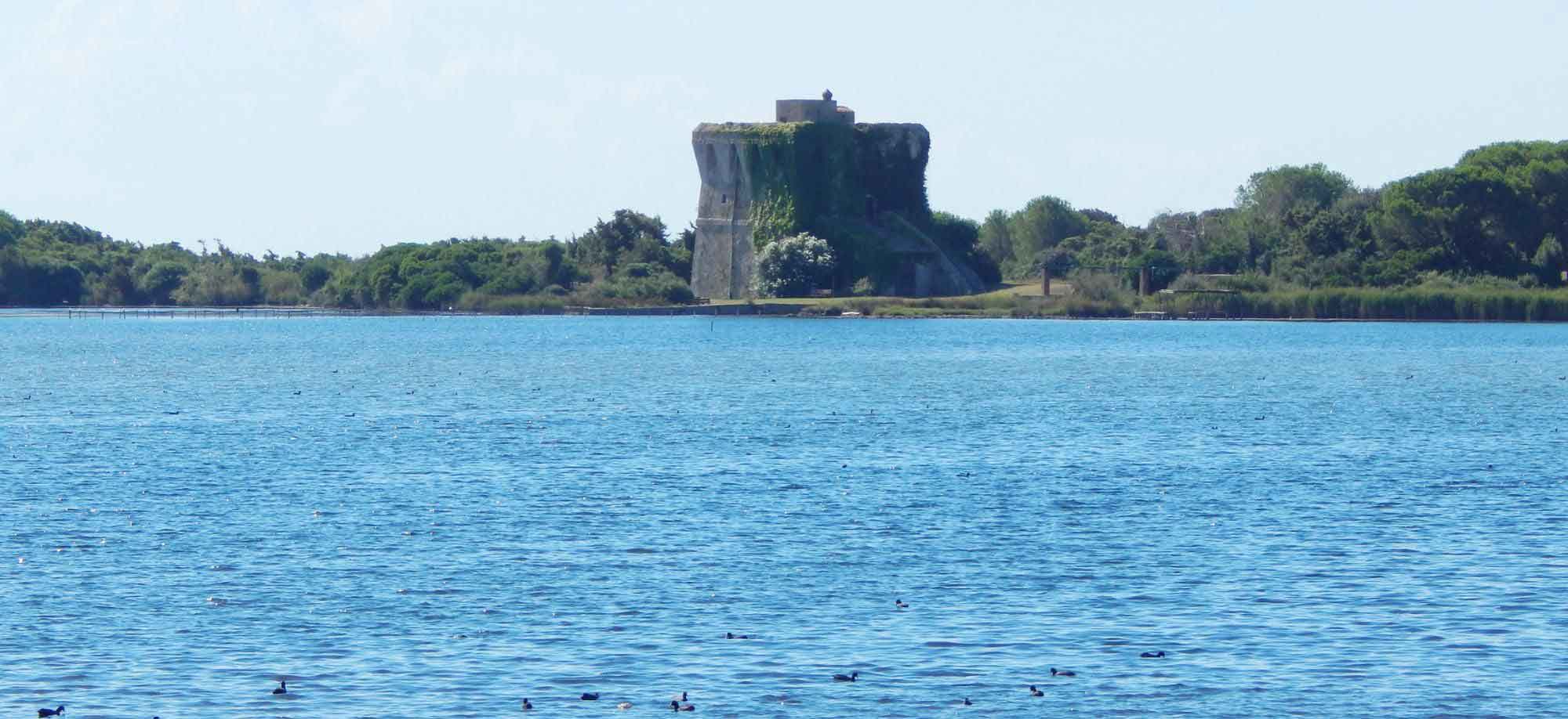 Il muggine del Lago di Burano alle erbe di Gianfranco Pascucci