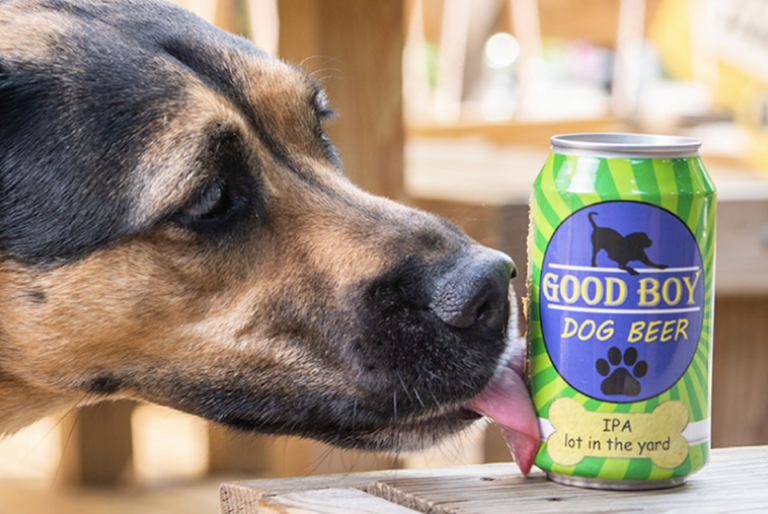 La birra per cani sta facendo impazzire gli Americani