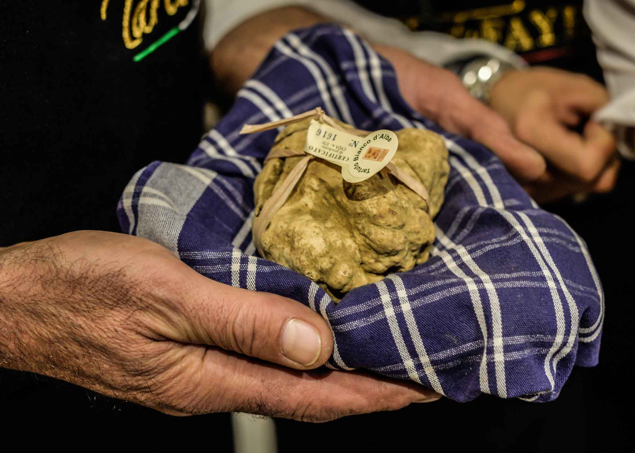 Tartufo Bianco d&#8217;Alba. Prezzi, chef e programma della Fiera Internazionale