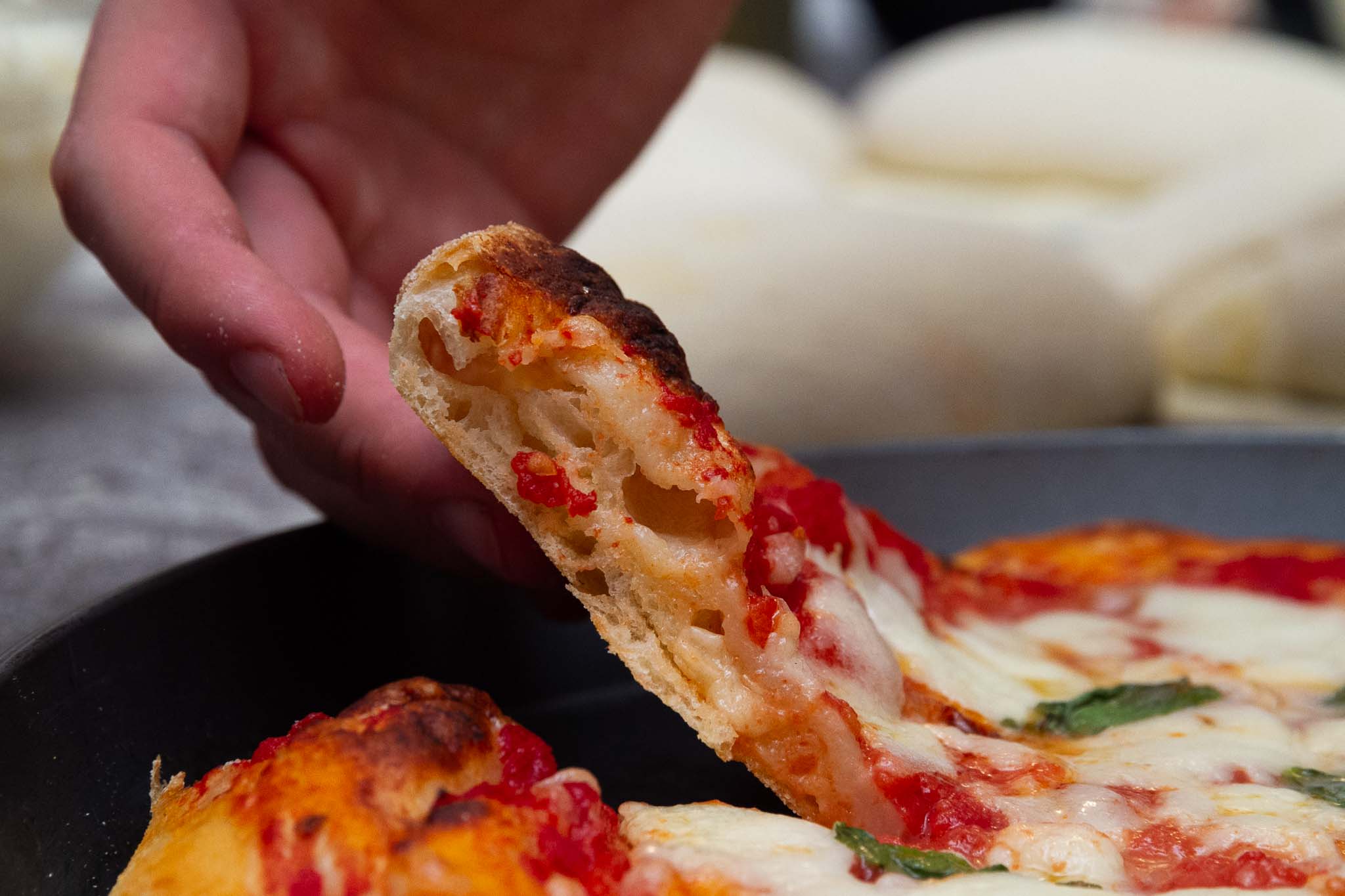 Lezioni di Pizza. La ricetta Bonci Style dei Ventenni Affamati