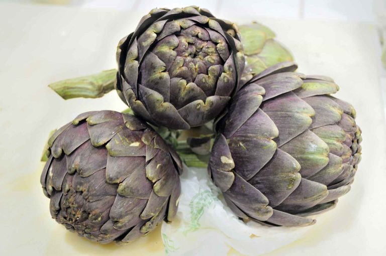 Carciofi alla romana e alla giudia: differenze e dove si mangiano