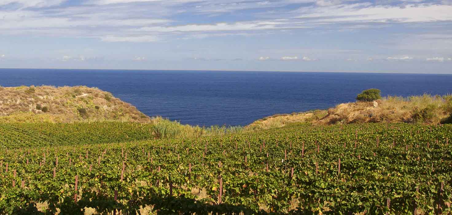 I 10 migliori vini delle isole per accompagnare l&#8217;estate