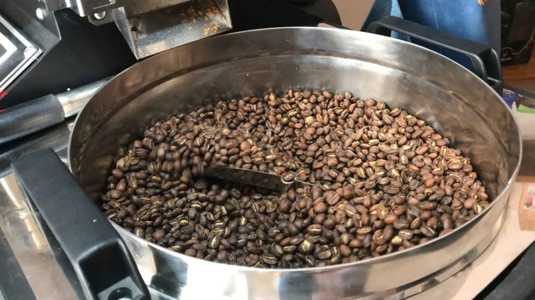 5 tipi di caffè per dire che l’espresso non è solo robusta o arabica