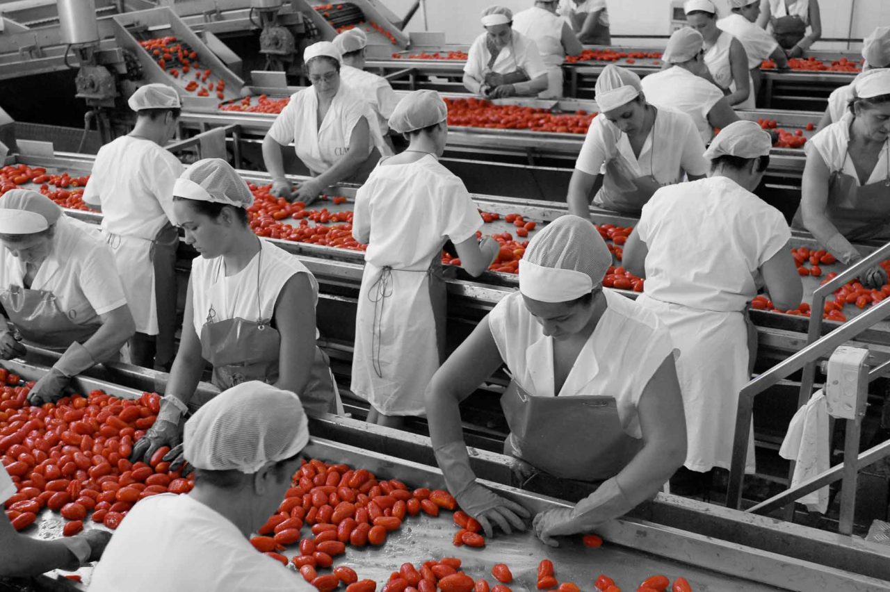 pomodori pelati lavorazione