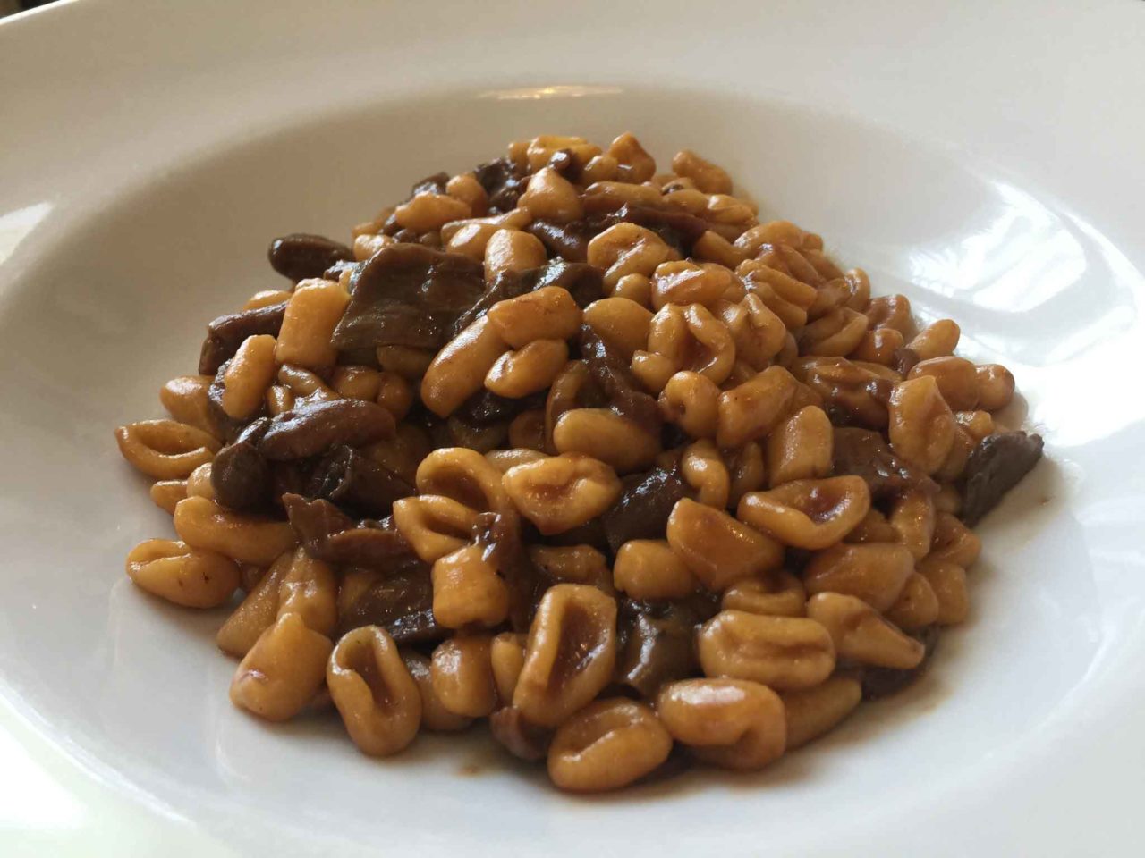 Trattoria dai Sibani un piatto di pisarei con sugo di funghi