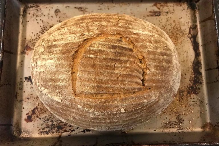 Come fare il pane dei Faraoni con il lievito egizio di 4500 anni fa