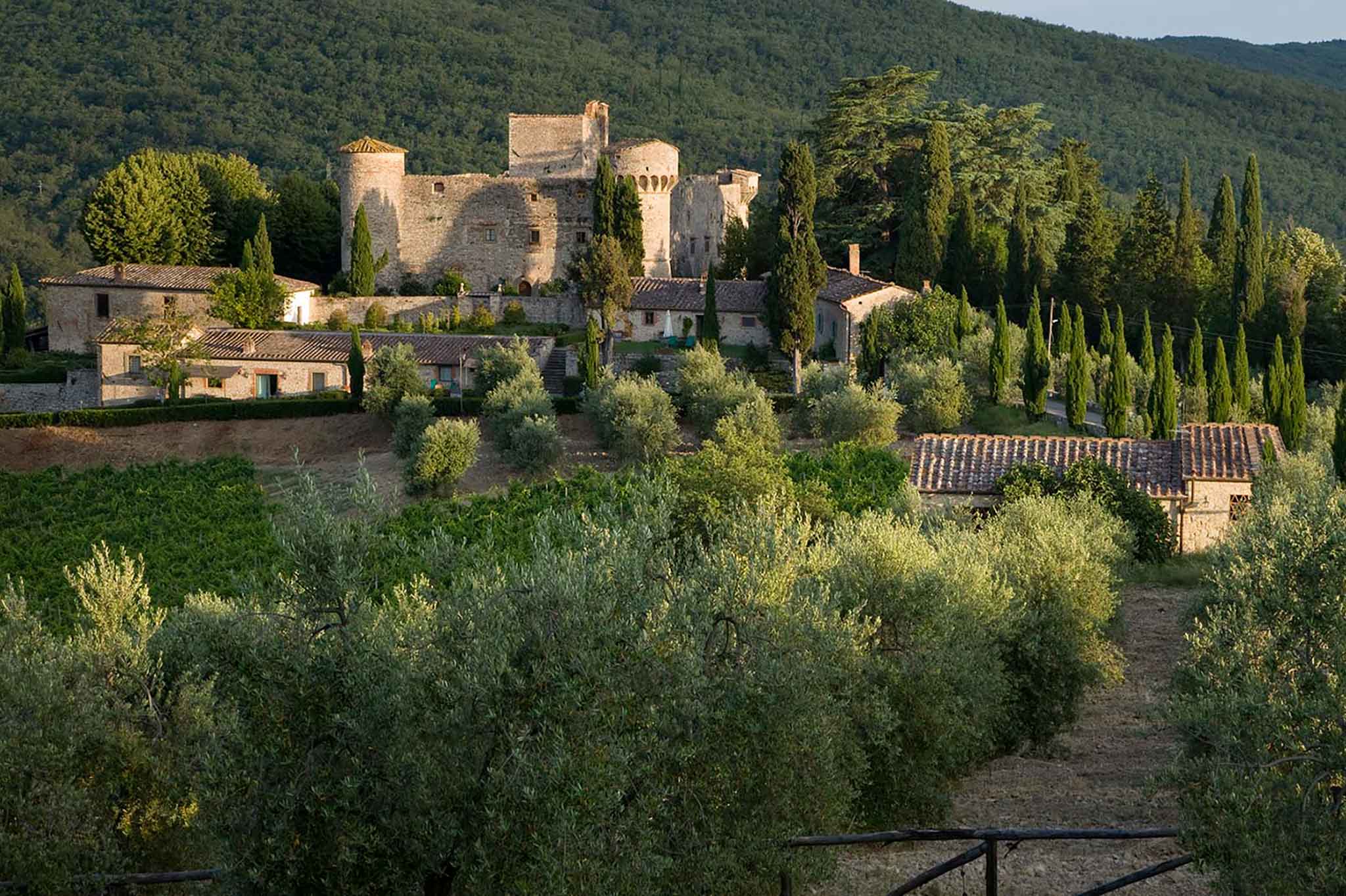 Chianti Gourmet Experience a Gaiole in Toscana, il programma