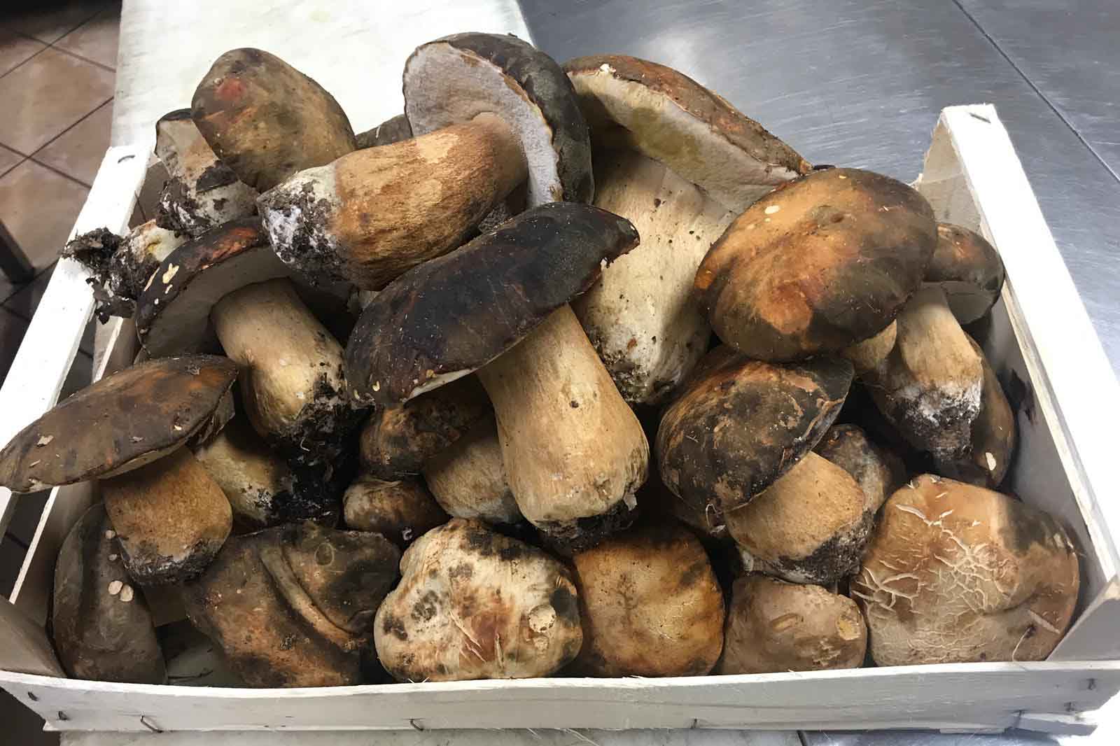 L&#8217;Angolo d&#8217;Abruzzo: il migliore ristorante di funghi è a Carsoli