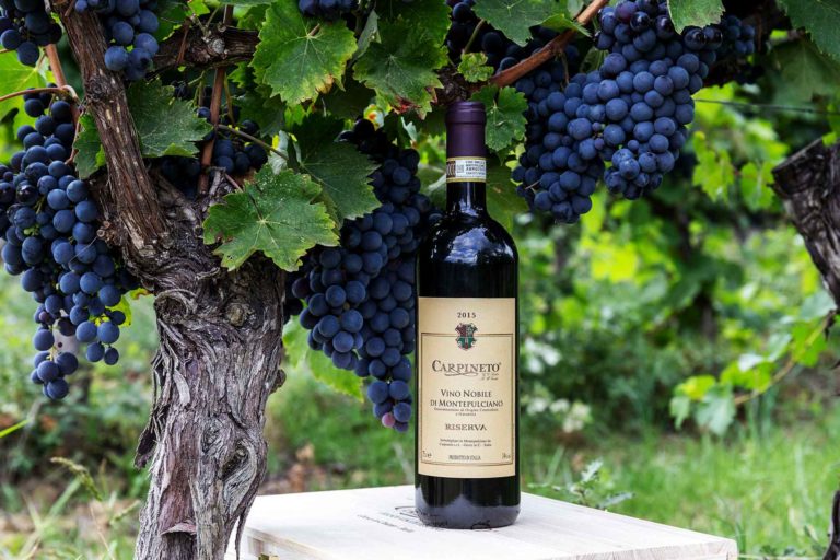 Il Nobile di Montepulciano più premiato è di Carpineto