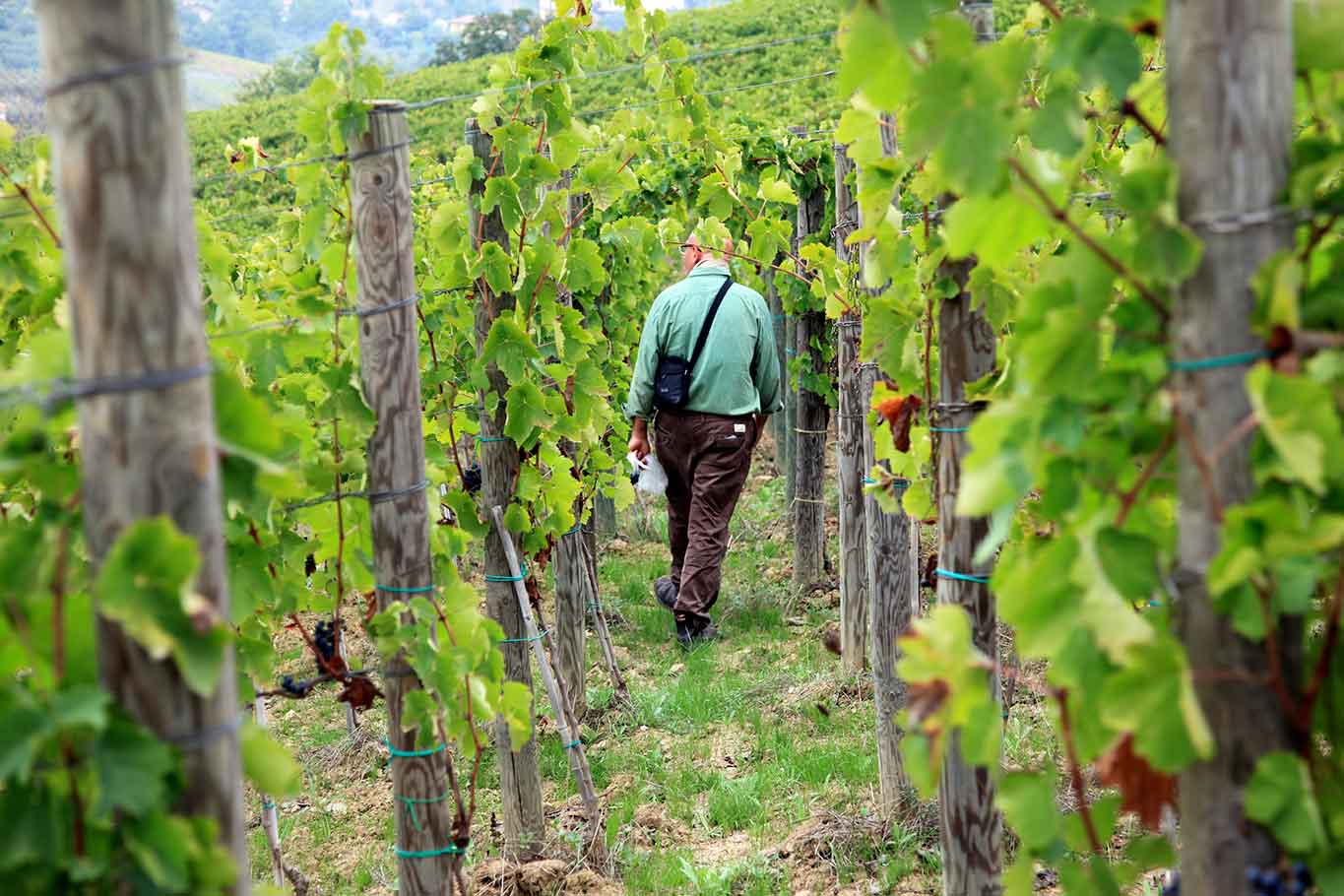 Vinitaly. I Vignaioli Indipendenti chiedono di rinviarlo al 2021