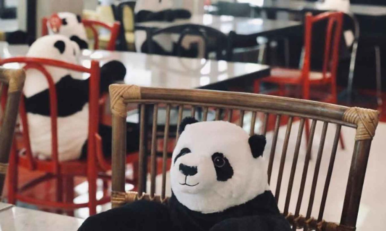 panda da saigon milano