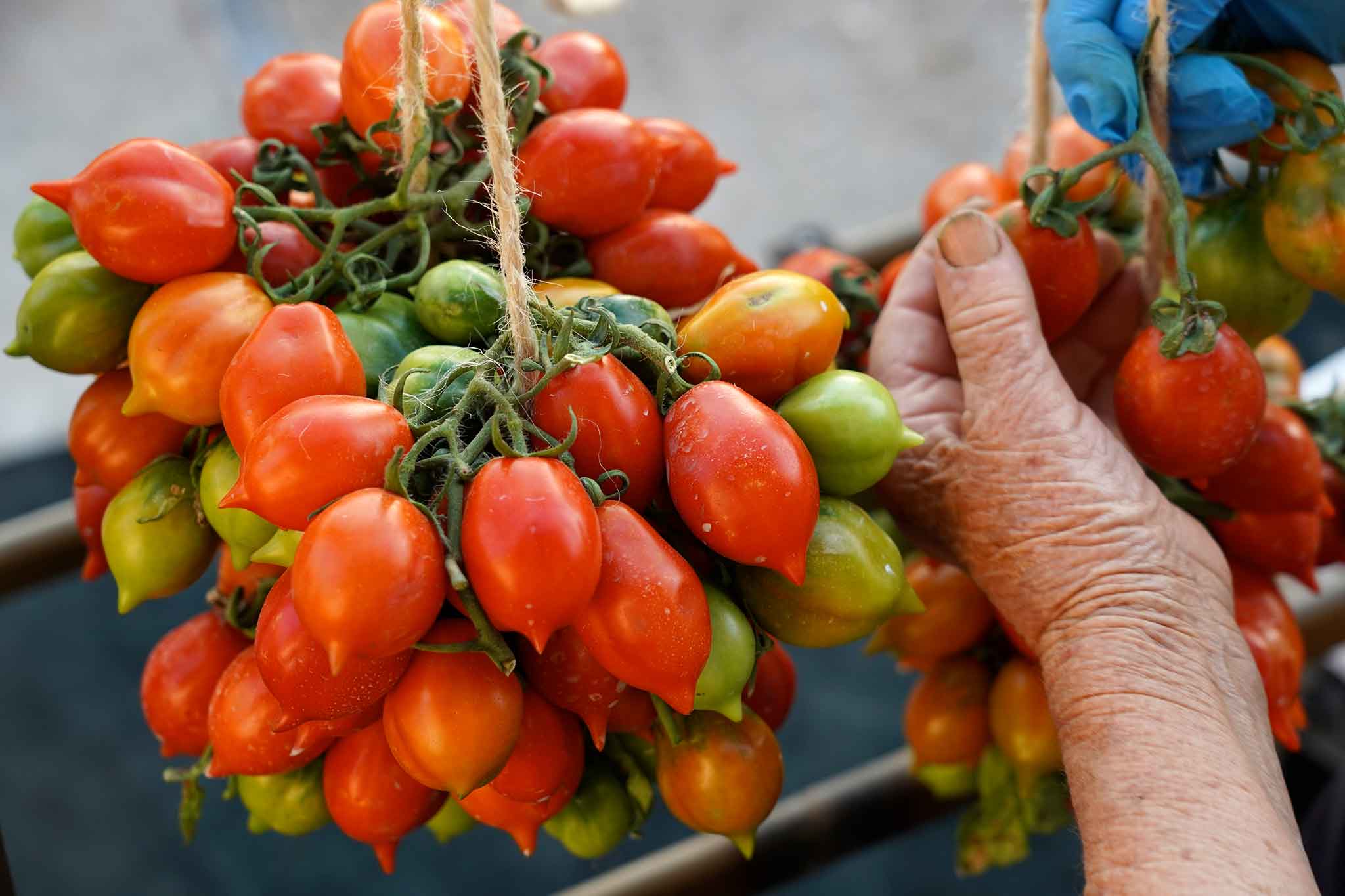 Pomodorino del piennolo: nasce Orto Vulcanico ed è esplosione di sapori