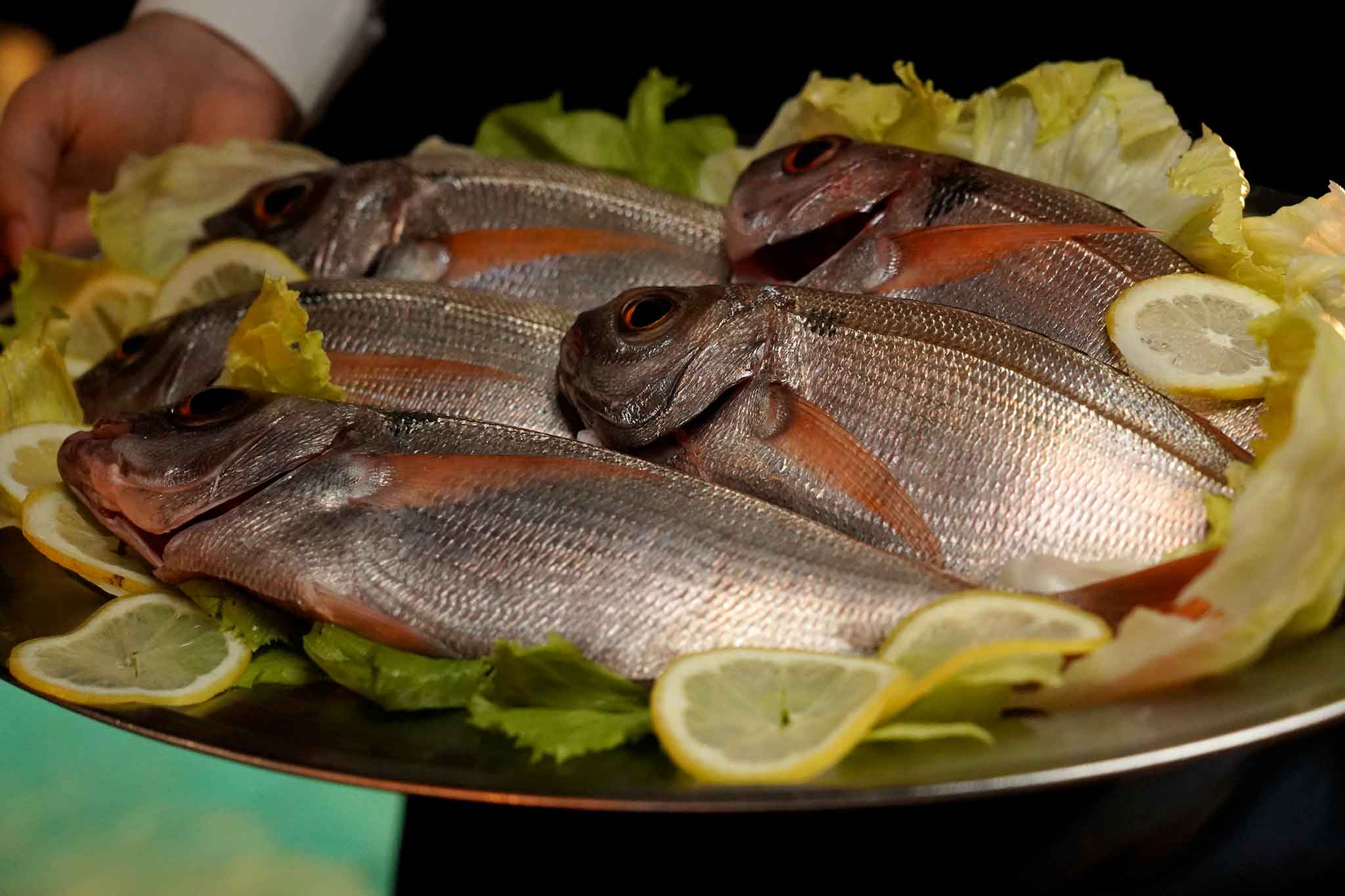 Cilento. Pezzogna: al ristorante Locanda Le Tre Sorelle il pesce è tentatore