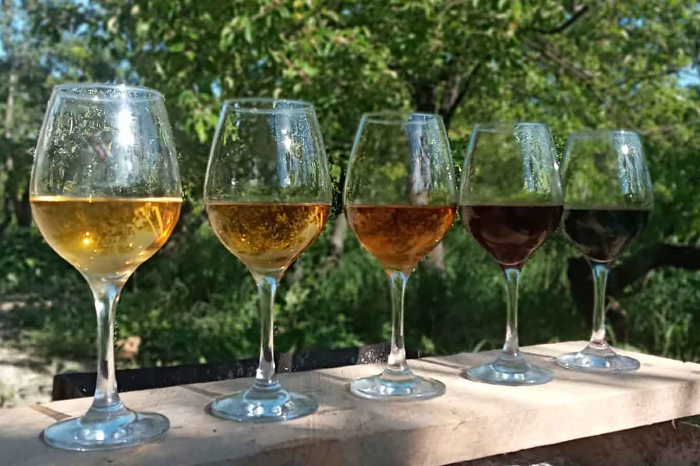 Orange Wine. Cosa sono i vini più antichi del mondo in arrivo dalla Georgia