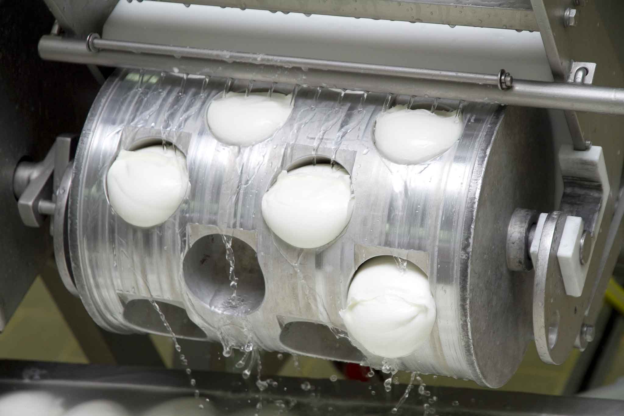 Mozzarella di bufala congelata: il testo dell&#8217;interpellanza parlamentare