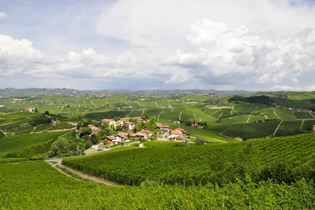 Piemonte Capitale Mondiale del Cibo