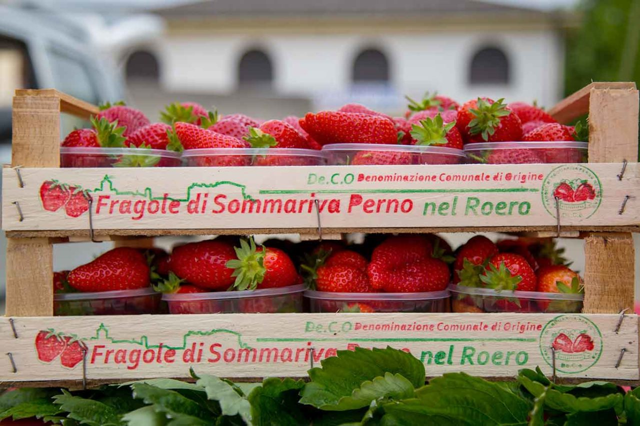 fragole di Sommariva Perno