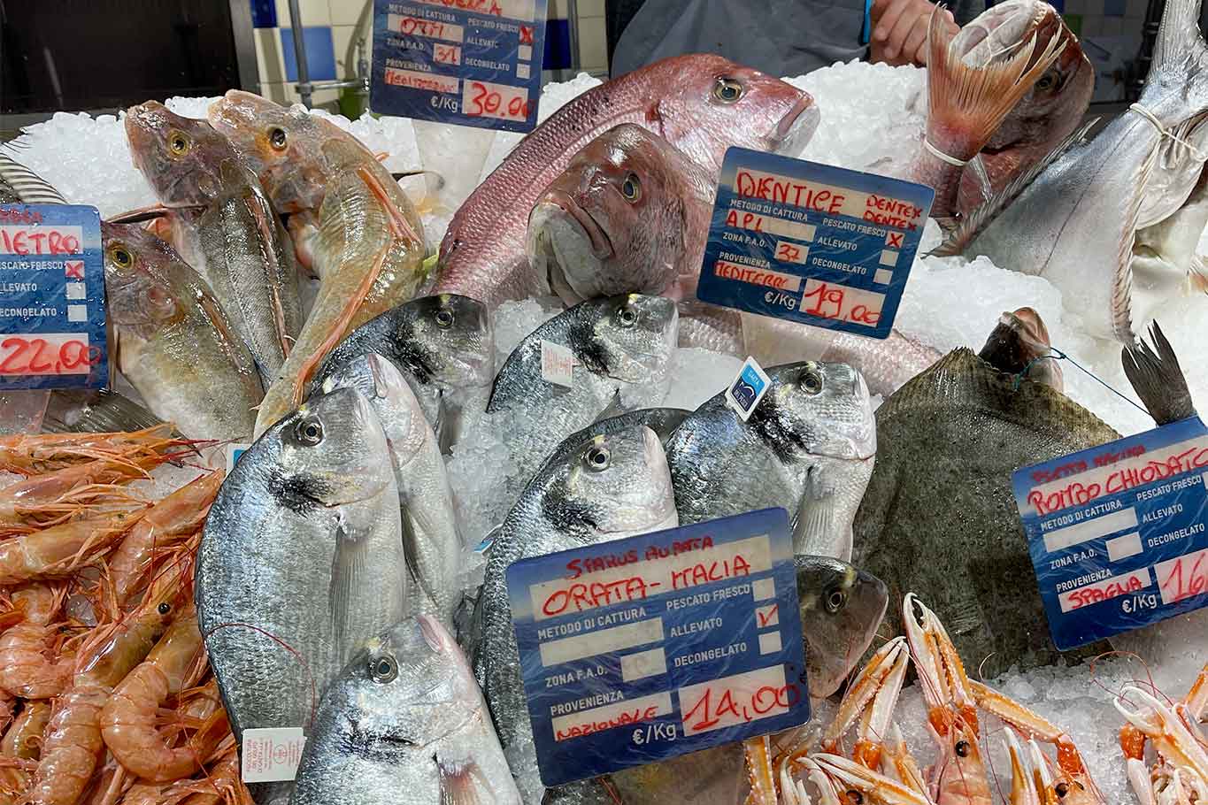 Tutte le zone di pesca FAO per evitare il pesce che arriva da Fukushima