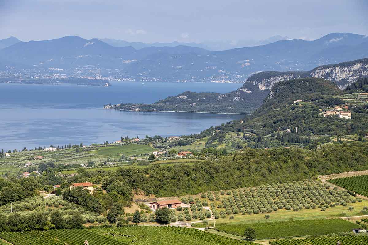 vino Bardolino La Rocca