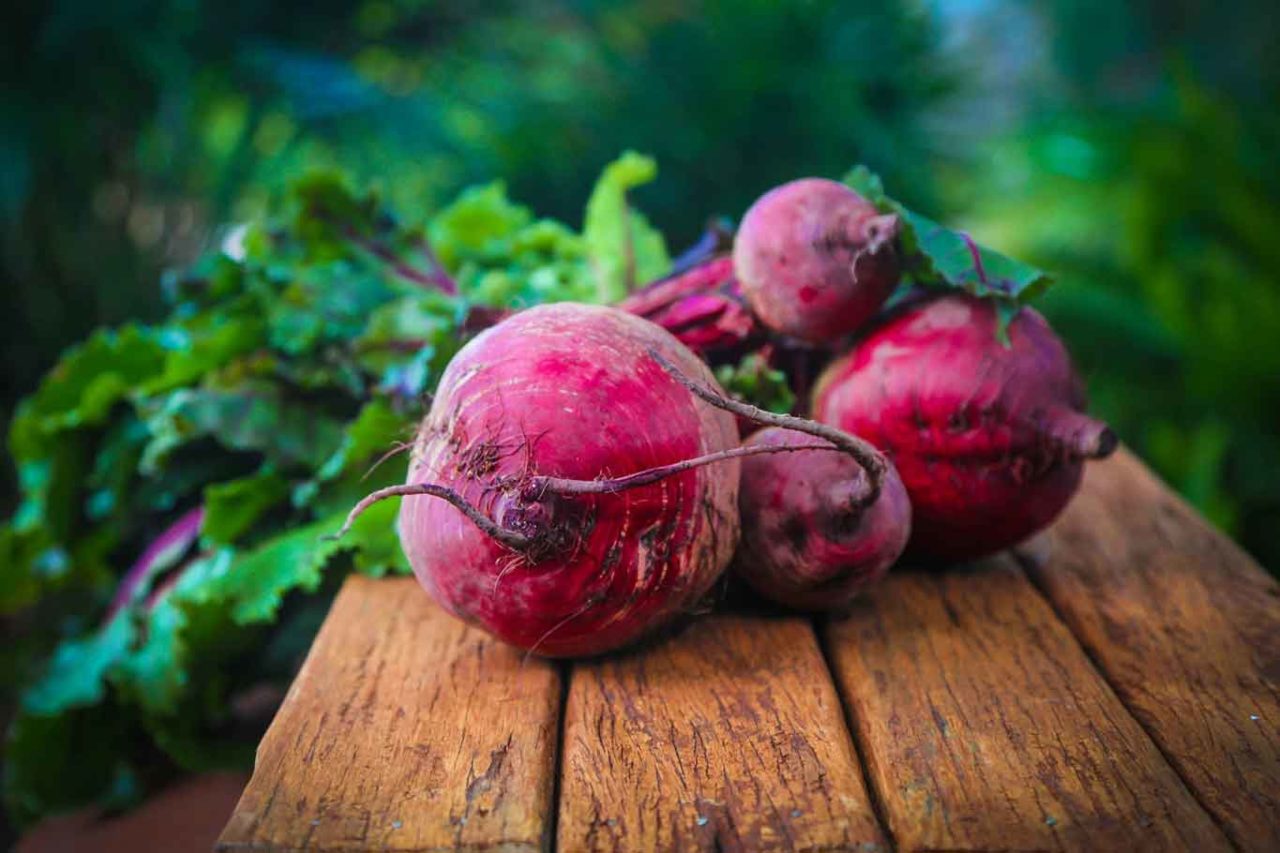 barbabietole rosse per la pasta dei ravioli