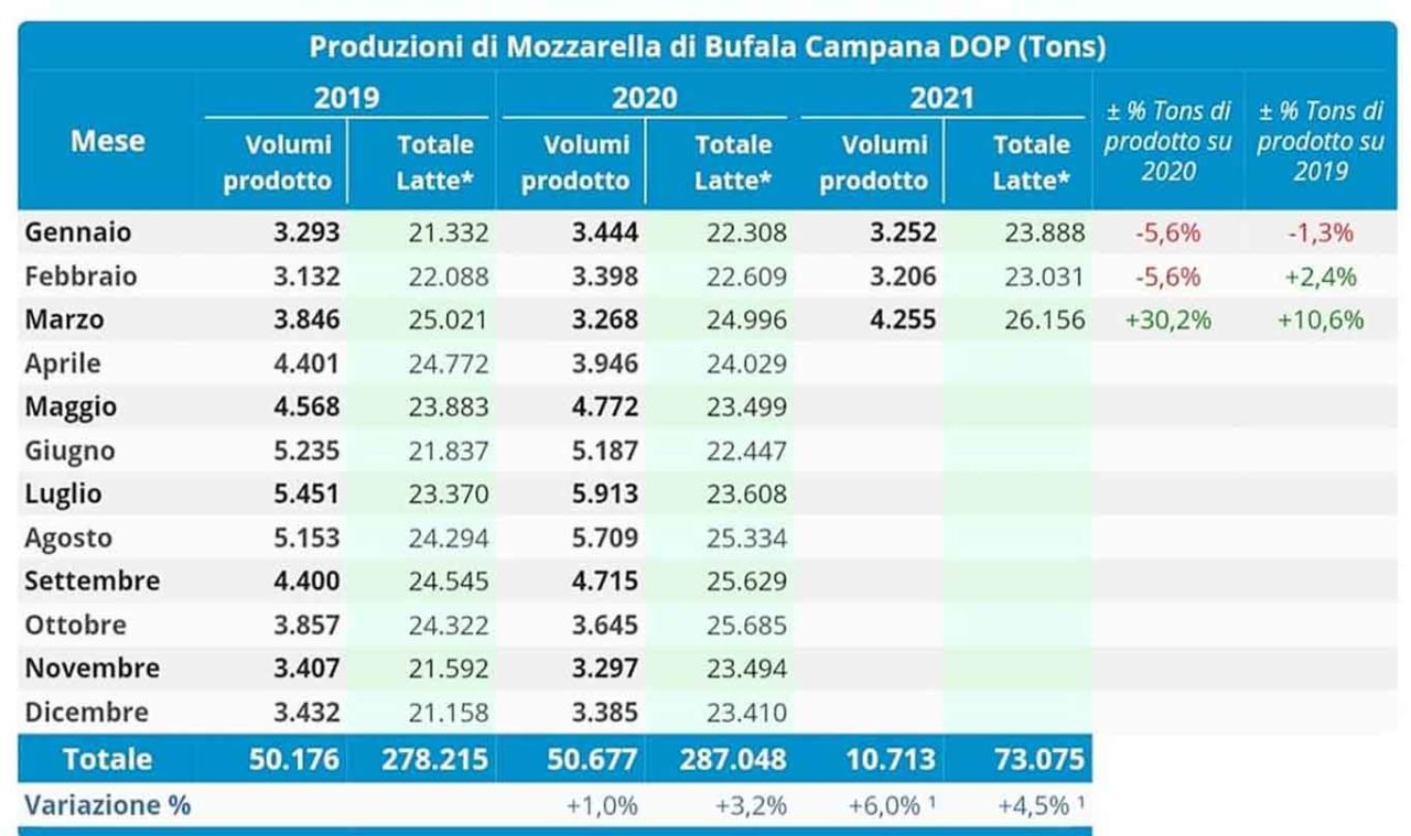 mozzarella di bufala campana dop produzione