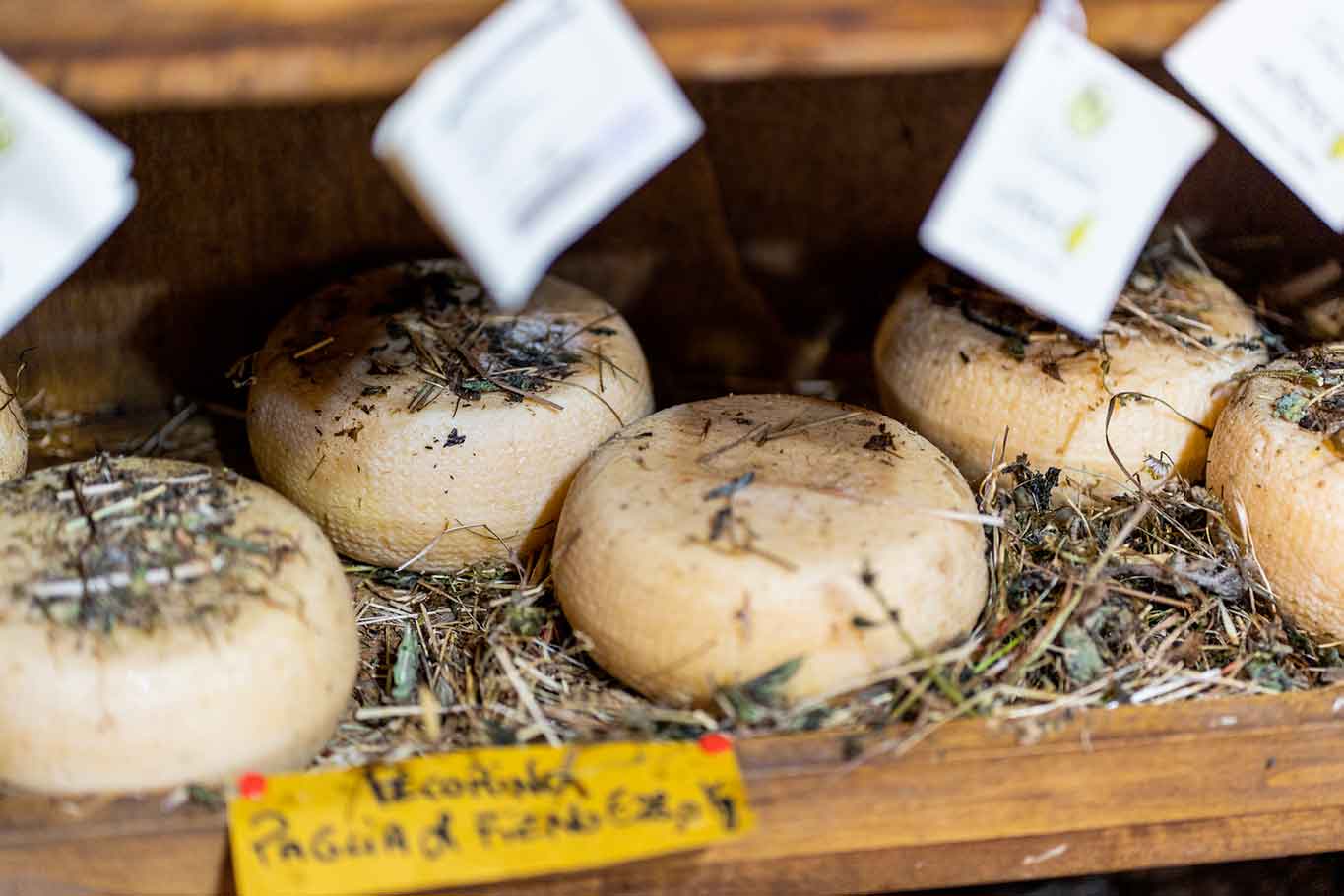 Pecorino di Pienza. 6 stili per apprezzare il formaggio della Val d&#8217;Orcia