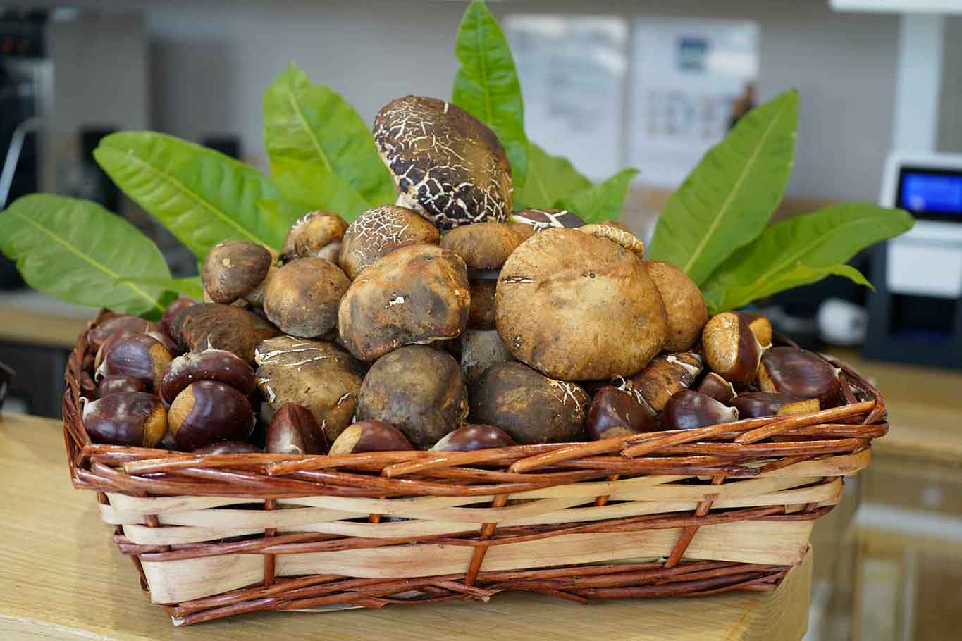 Funghi porcini in Molise. La mappa dei 10 migliori ristoranti del 2021