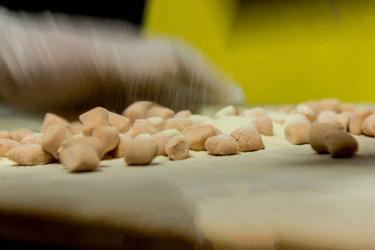 funghi porcini in Abruzzo: gnocchi