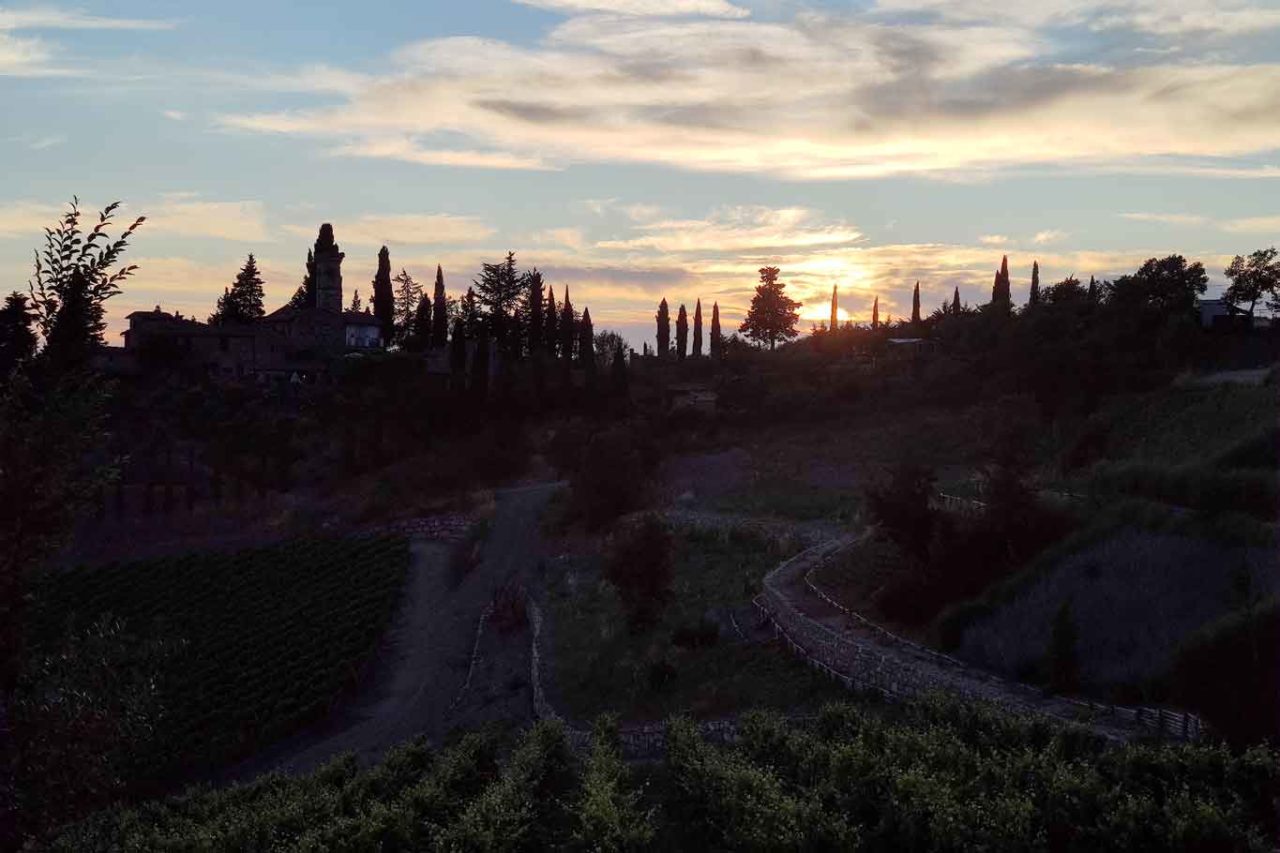 vigneti Tenuta Casenuove