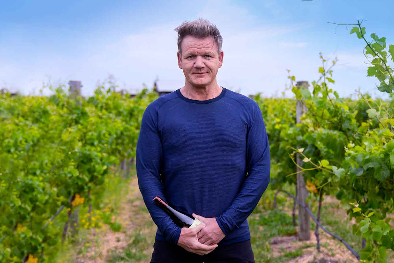 Il vino italiano di Gordon Ramsay. Quanto costano rosso, bianco e rosè